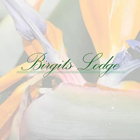Birgits *