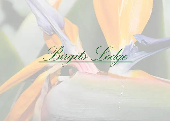 Birgits *